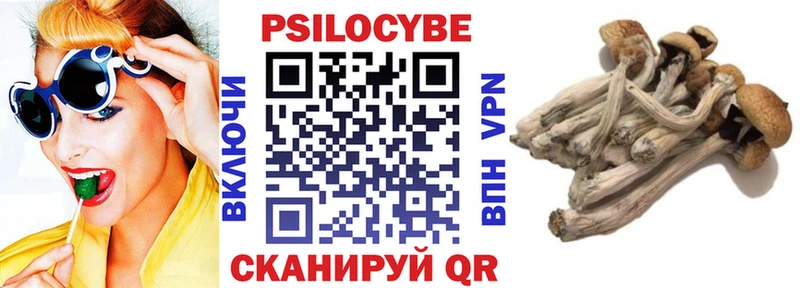 Галлюциногенные грибы GOLDEN TEACHER Купить Саянск